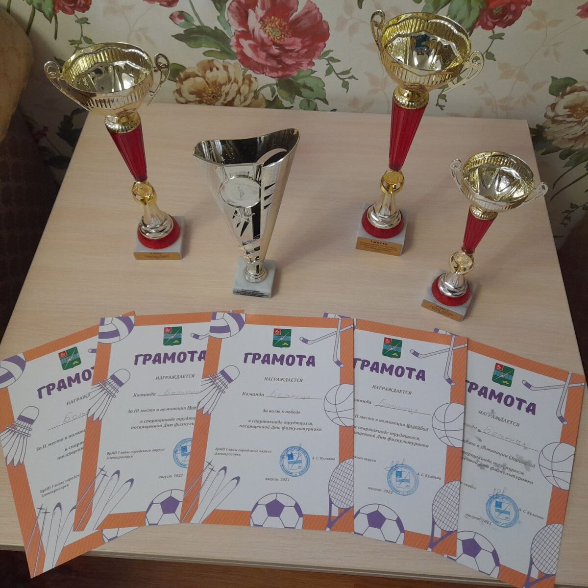 День физкультурника в Электрогорске