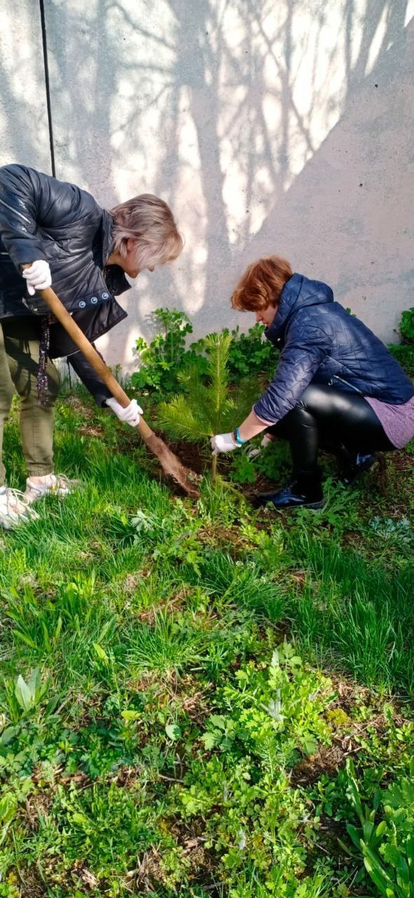 Участники профсоюза здравоохранения Луховицкой ЦРБ приняли участие в акции "Лес Победы"