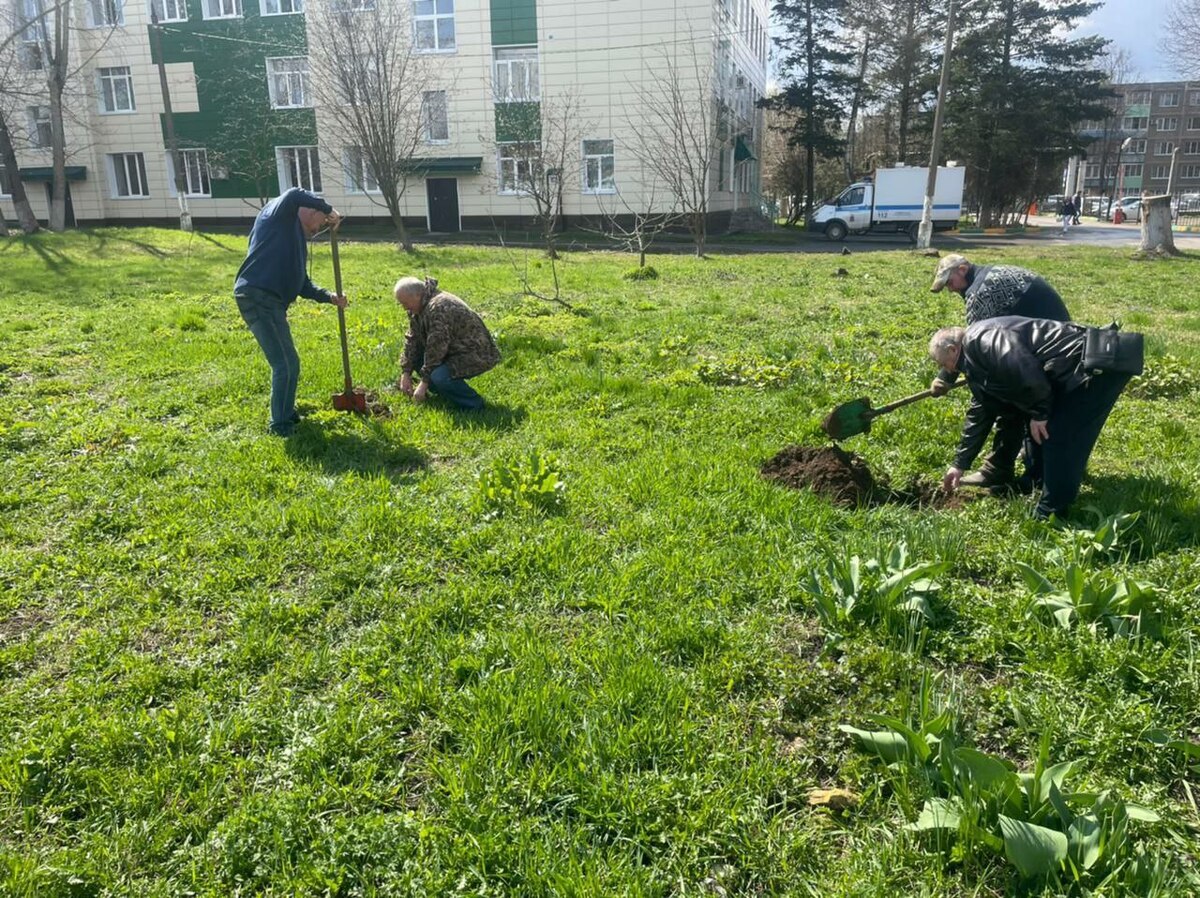 Участники профсоюза здравоохранения Луховицкой ЦРБ приняли участие в акции "Лес Победы"
