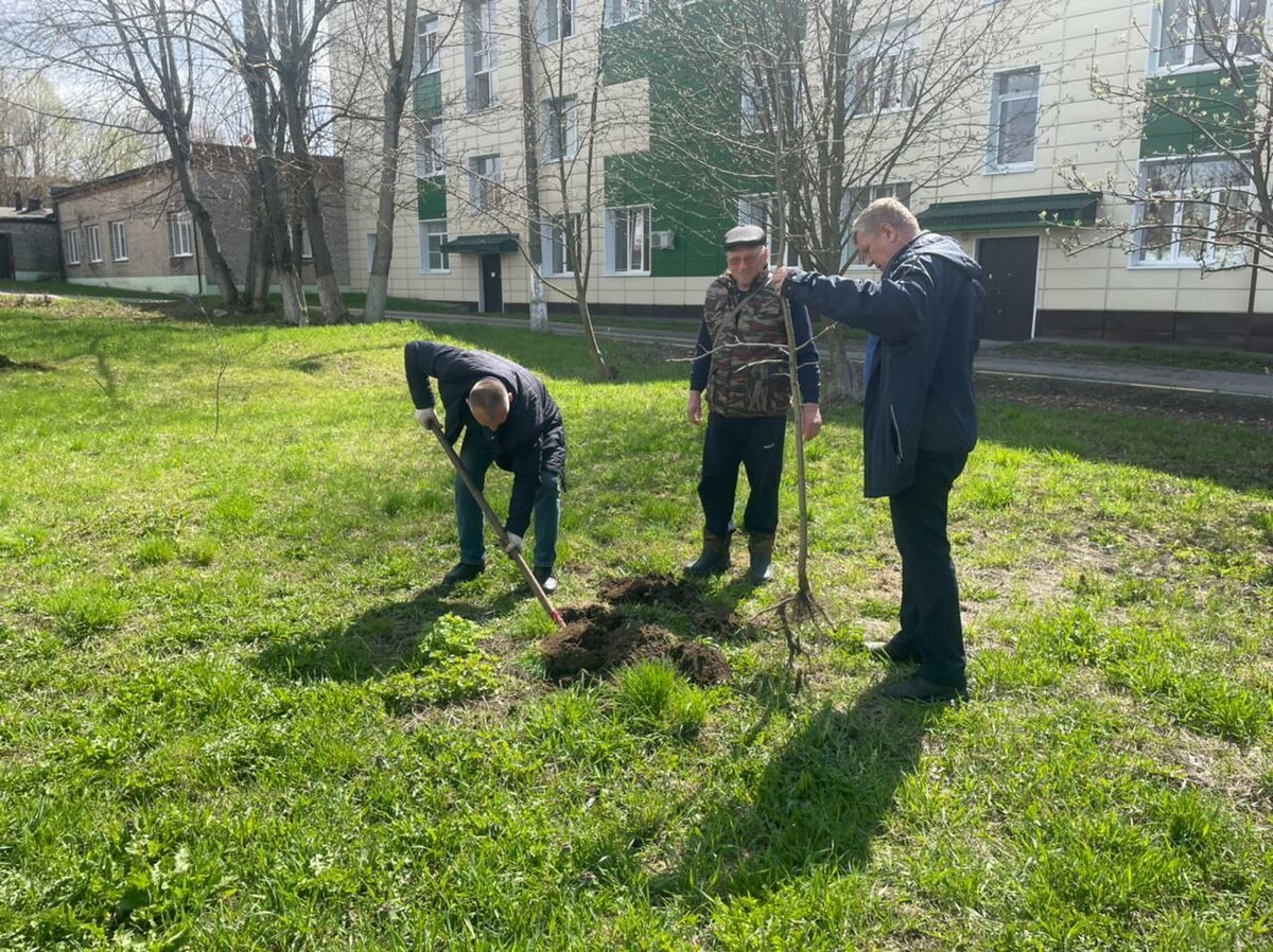 Участники профсоюза здравоохранения Луховицкой ЦРБ приняли участие в акции "Лес Победы"