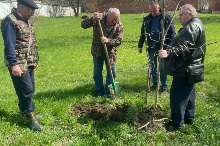 Участники профсоюза здравоохранения Луховицкой ЦРБ приняли участие в акции "Лес Победы"