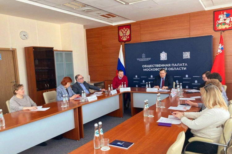 Вопросы отрасли здравоохранения обсудила председатель Королевского горкома на заседании комиссии Общественной палаты МО